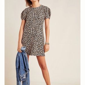 Velvet by graham and spencer